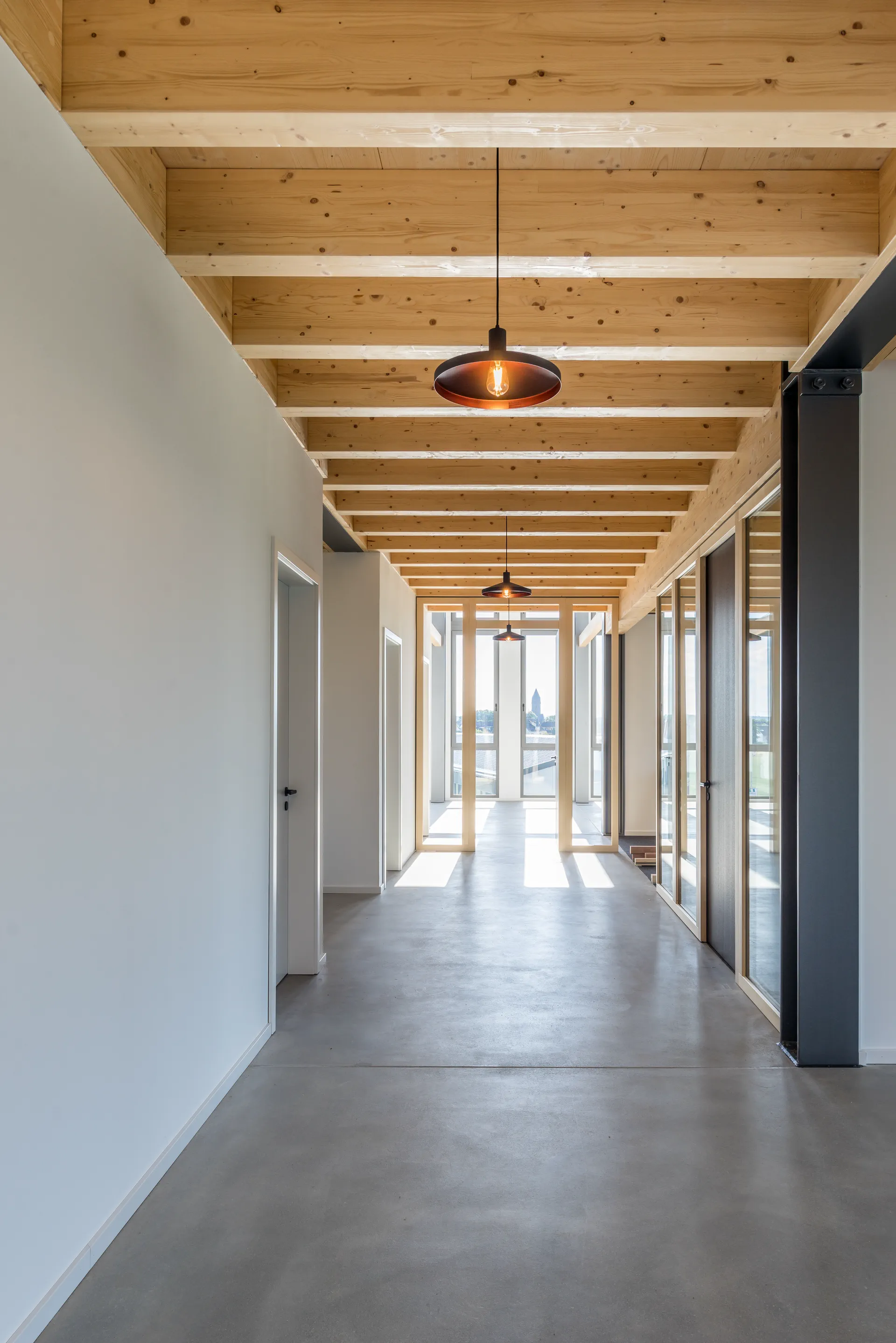 Couloir de bureaux dans un bâtiment X-Wood® avec plafond en bois et salles de réunion vitrées
