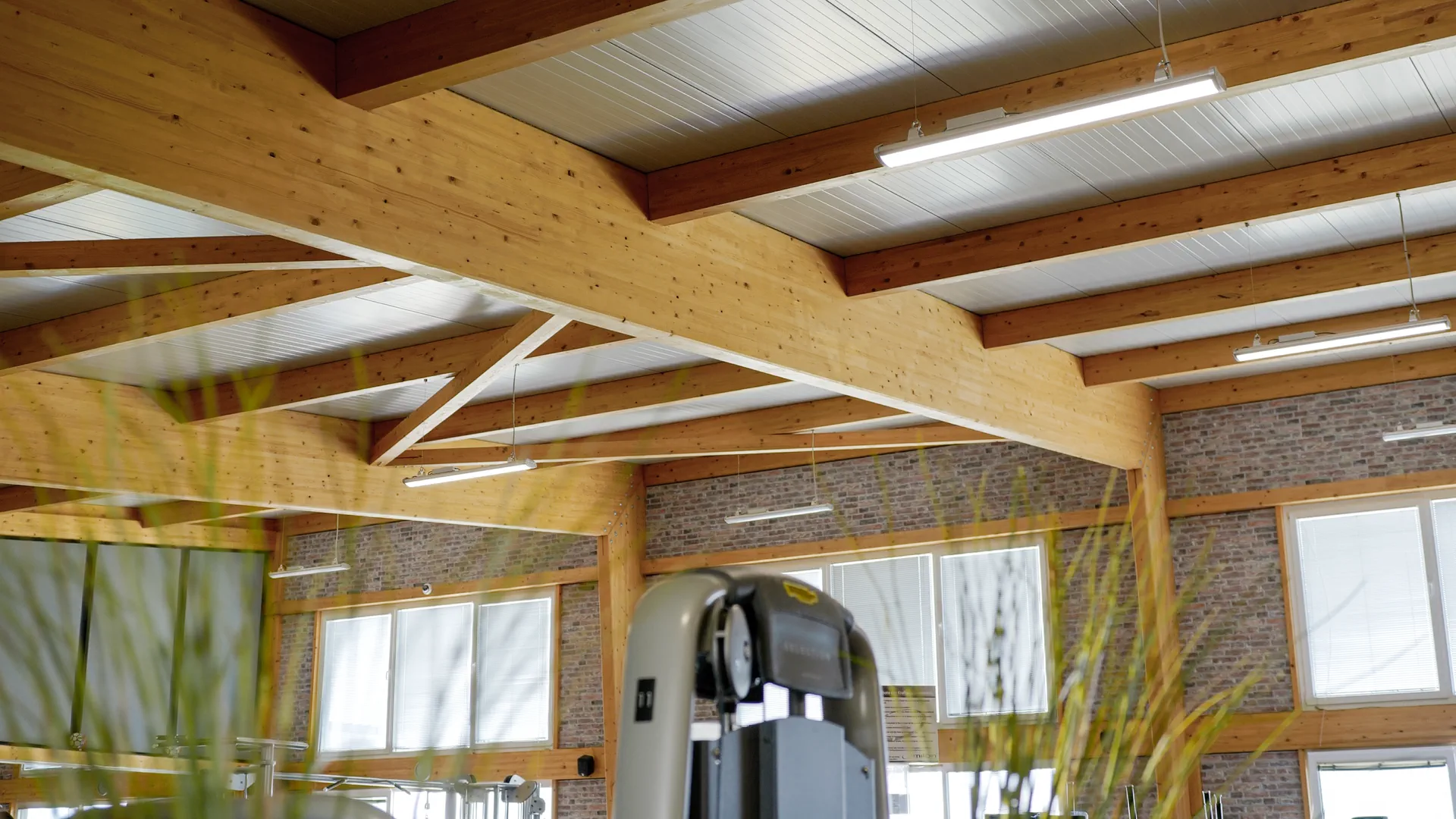 Bright interior of an X-Wood® hall with an exposed timber ceiling