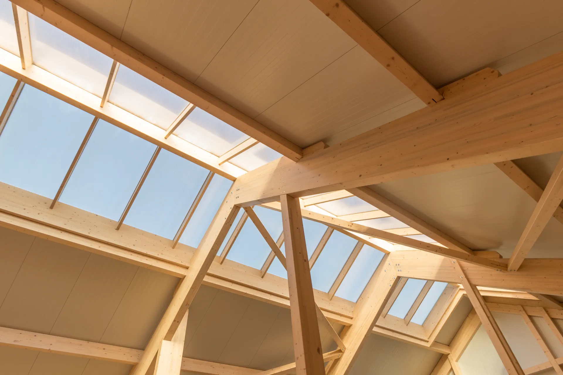 The X-Wood® team in front of a completed timber hall