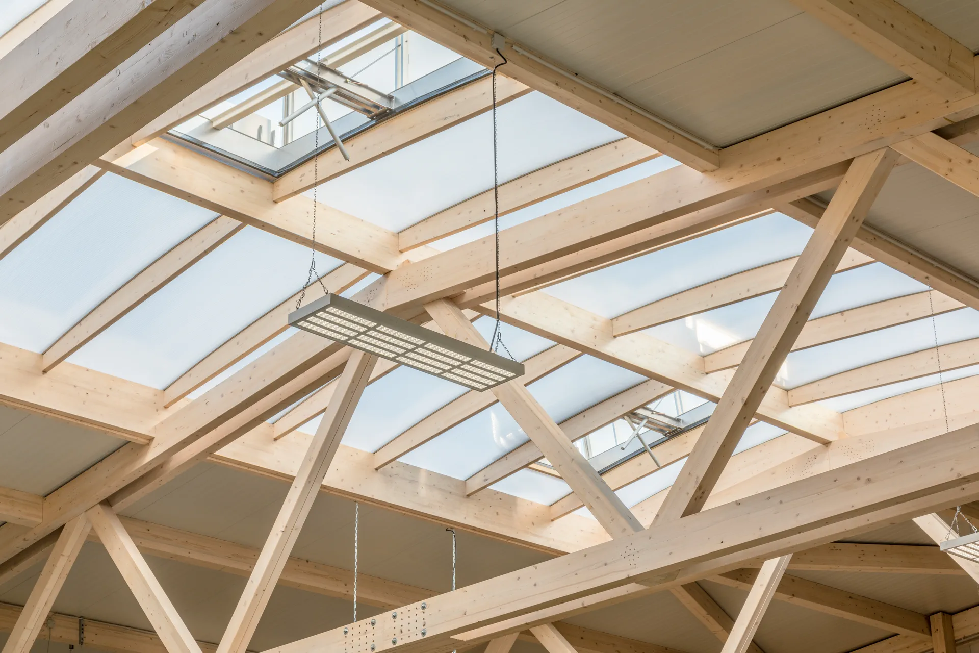 Office corridor in an X-Wood® hall with a timber ceiling and glazed meeting rooms