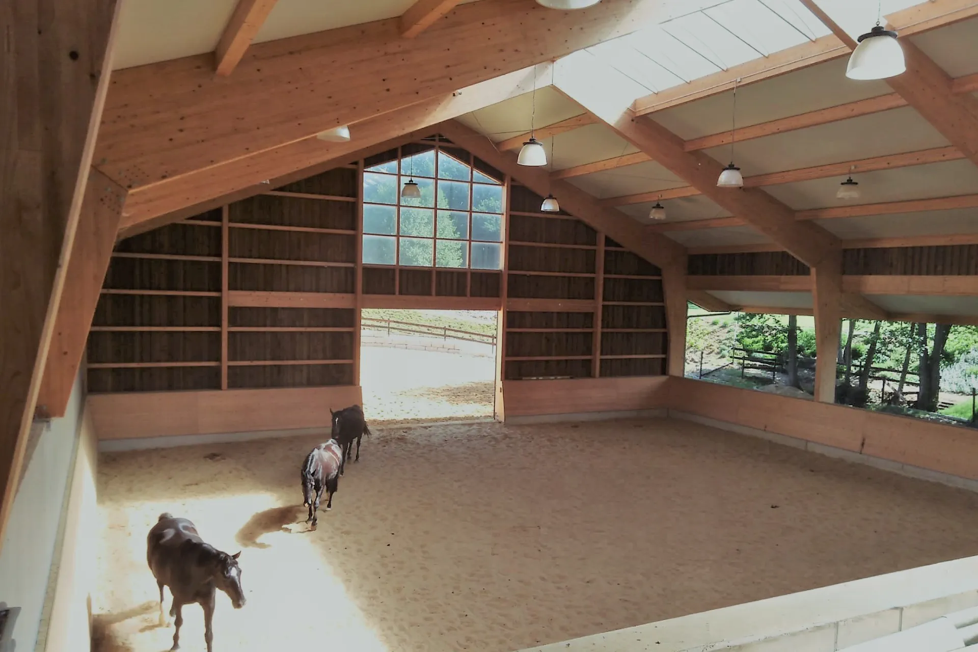 Manège vu de l’intérieur, charpente en bois apparente