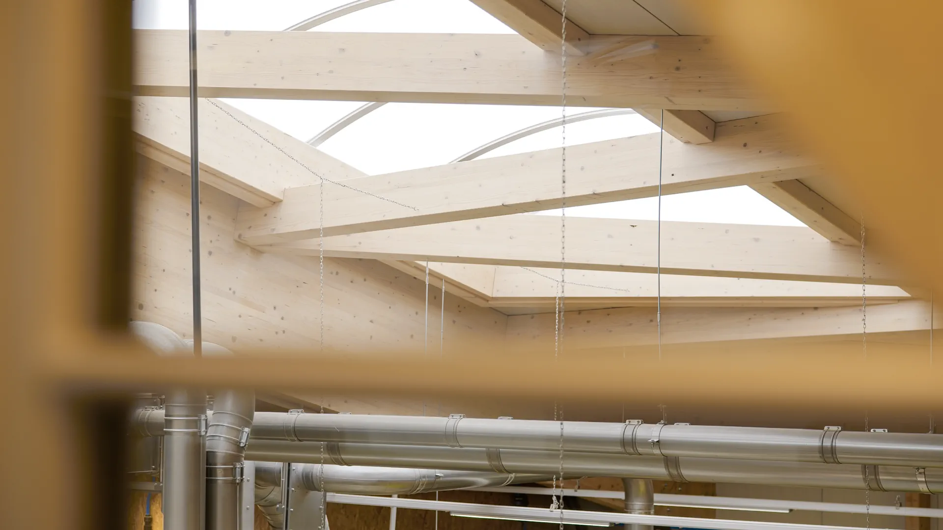 Halle aus Holz mit sichtbarem Dachtragwerk aus Fachwerkträgern