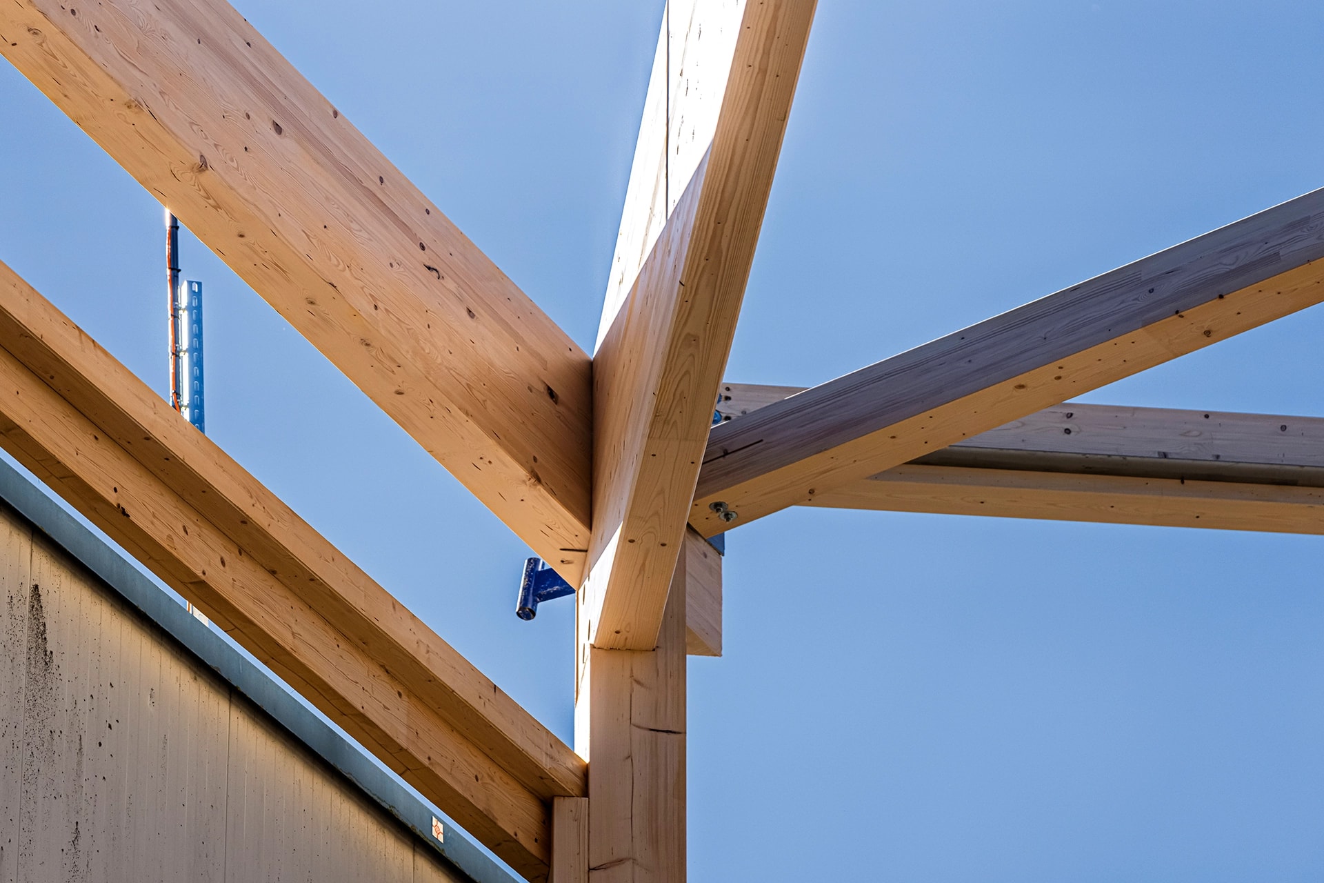 Assembly of an X-Wood® timber hall on site