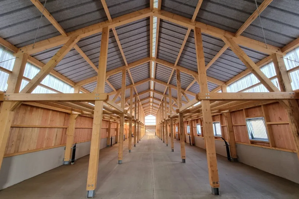 View along the stable aisle of the Büllingen riding club, with a timber post structure, roof trusses and horse boxes on both sides.