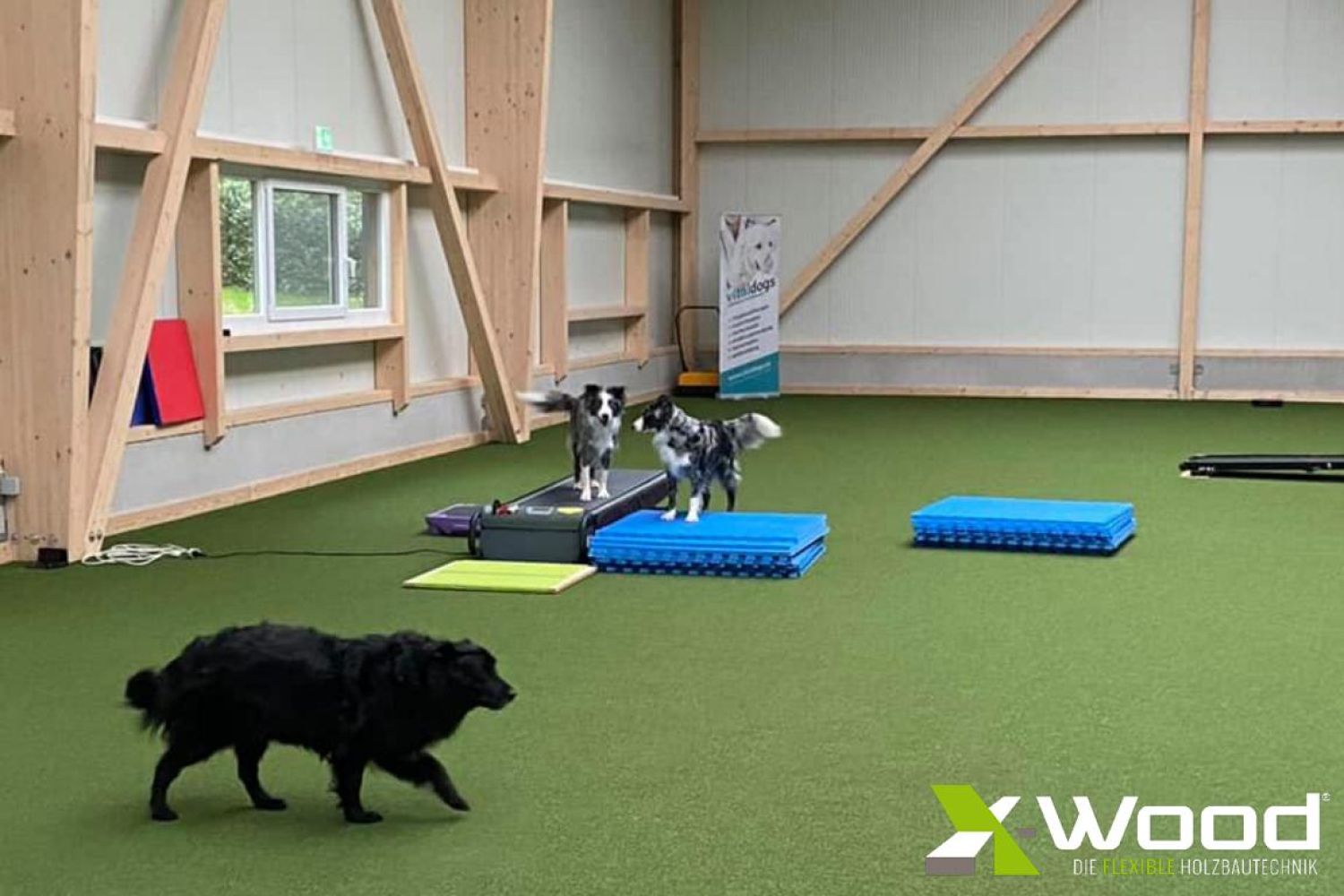 Vitaldogs - TierPraxis und Tierphysiotherapie - Neue Holzhalle