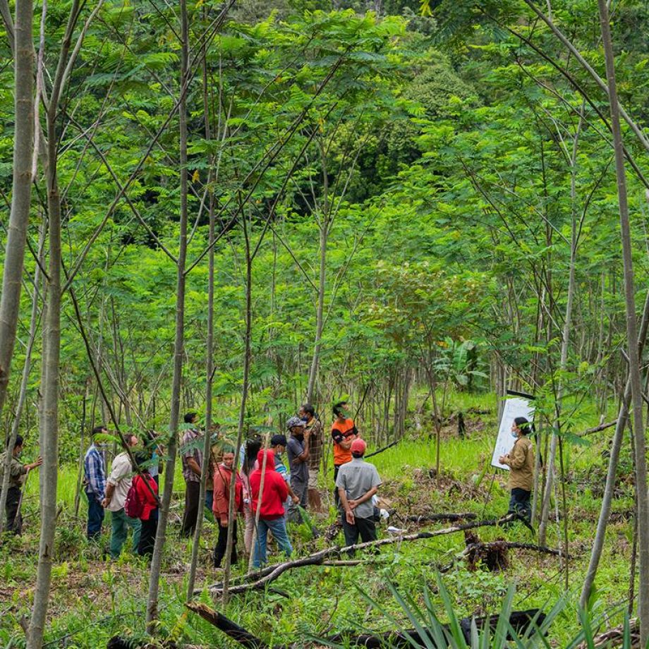 Fairventures - Weiterbildung Bauern Indonesien 